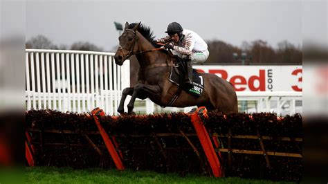 cheltenham festival accumulator